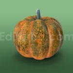 دانلود مدل آماده سه بعدی: کدو تنبل