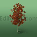 دانلود مدل آماده سه بعدی: درخت بلوط پاییزی