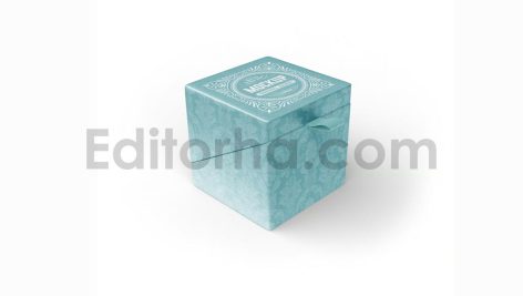 دانلود موکاپ جعبه مقوایی هدیه