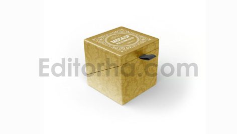 دانلود موکاپ جعبه مقوایی هدیه Gift Cardboard Box Mockup