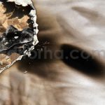 دانلود مجموعه 10 عددی تکسچر کاغذ سوخته
