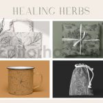 دانلود پترن و طراحی با تم گیاهی Herbs Patterns & Illustrations