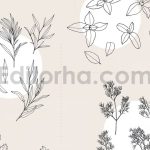 دانلود پترن و طراحی با تم گیاهی Herbs Patterns & Illustrations
