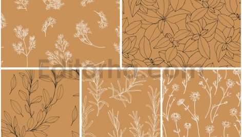 دانلود پترن و طراحی با تم گیاهی Herbs Patterns & Illustrations