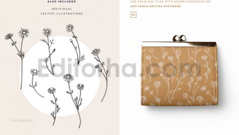 دانلود پترن و طراحی با تم گیاهی Herbs Patterns & Illustrations