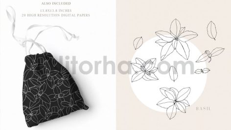 دانلود پترن و طراحی با تم گیاهی Herbs Patterns & Illustrations
