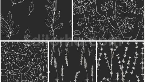 دانلود پترن و طراحی با تم گیاهی Herbs Patterns & Illustrations