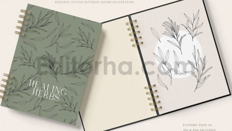 دانلود پترن و طراحی با تم گیاهی Herbs Patterns & Illustrations
