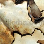دانلود مجموعه ۱۰ عددی تکسچر کاغذ سوخته Burnt Paper Textures