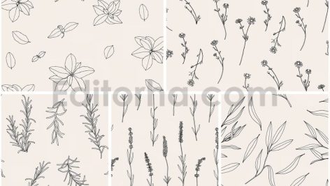 دانلود پترن و طراحی با تم گیاهی Herbs Patterns & Illustrations
