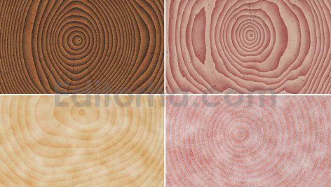 دانلود مجموعه ۱۰ عددی تکسچر چوب Wood Saw Cut Background Textures