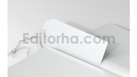 دانلود موکاپ بوک مارک، نشانک کتاب طرح ماه