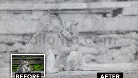 دانلود فایل افکت عکس طراحی با مداد Pencil Sketch Photo Effect