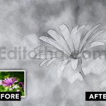 دانلود فایل افکت عکس طراحی با مداد Pencil Sketch Photo Effect
