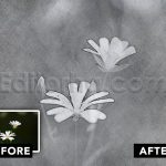 دانلود فایل افکت عکس طراحی با مداد Pencil Sketch Photo Effect