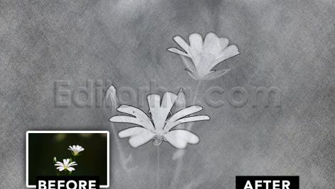 دانلود فایل افکت عکس طراحی با مداد Pencil Sketch Photo Effect