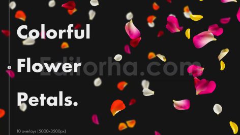 دانلود مجموعه۱۰ تایی اورلی گلبرگ گل رز Colorful Flower Petals Overlays
