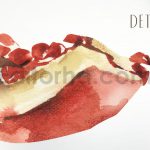 دانلود کلیپ آرت آبرنگی انار