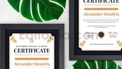 دانلود فایل لایه باز سرتیفیکیت با طرح طبیعت Nature Prophet Certificate
