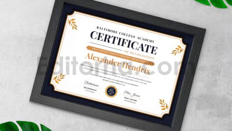 دانلود فایل لایه باز سرتیفیکیت با طرح طبیعت Nature Prophet Certificate