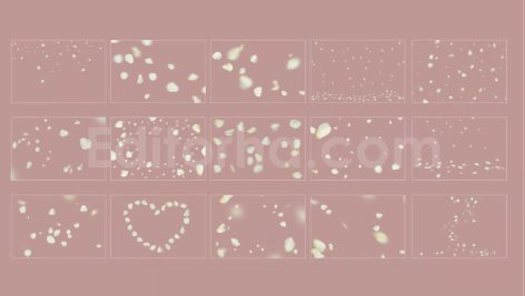 دانلود مجموعه ۱۵ عددی اورلی گلبرگ های رز سفید White Rose Petals Overlays