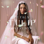 دانلود مجموعه ۱۵ عددی اورلی گلبرگ های لاله Tulip Petals Overlays