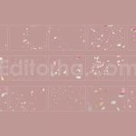 دانلود مجموعه ۱۵ عددی اورلی گلبرگ های لاله Tulip Petals Overlays