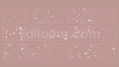 دانلود مجموعه ۱۵ عددی اورلی گلبرگ های لاله Tulip Petals Overlays