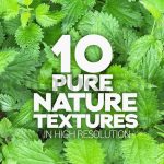 دانلود تکسچر طبیعت Pure Nature Textures x10