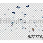 فوتیج موشن گرافیک آلفا پروانه