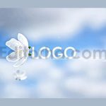 دانلود پروژه آماده داوینچی ریزالو: اینترو بهار Flying Flowers Opener