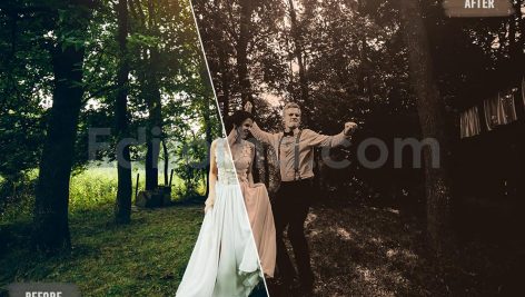 دانلود 50 پریست LUT رنگ سپیا برای عروسی 50 sepia wedding luts pack