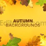 دانلود 8 بک گراند برگ های پاییزی Autumn Backgrounds