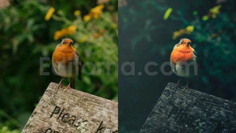 ai optimize dark green lightroom presets