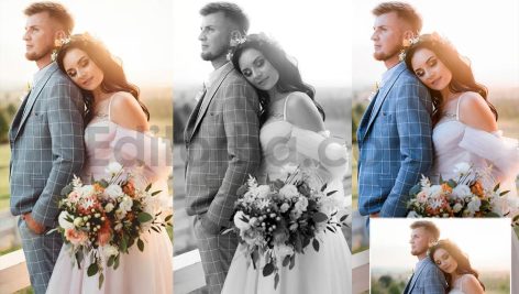 pro portrait lightroom presets