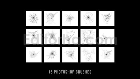 دانلود ۱۵ براش فتوشاپ تار عنکبوت واقعی Realistic Cobweb Brush