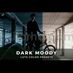 دانلود پریست داوینچی ریزالو: LUTهای تیره و مودی Dark Moody Luts