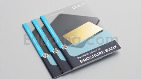 Bank Brochure Vol.11
