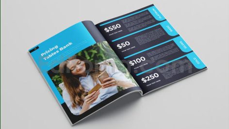 Bank Brochure Vol.11