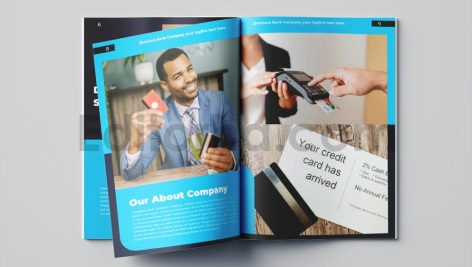 Bank Brochure Vol.11