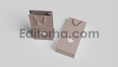 Gift Bag Mockup3