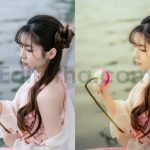 دانلود پریست‌ لایت‌ روم عکاسی رنگ‌های روشن، ملایم و پاستلی بهینه‌ شده با ai