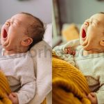 first years baby newborn lightroom presets
