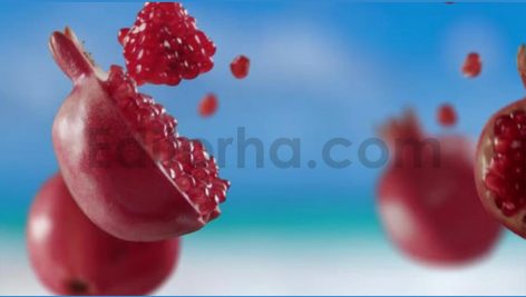 Flying Pomegranate & Pomegranates Slices