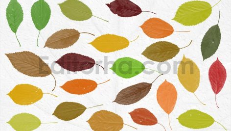 دانلود مجموعه ۵۲ براش برگ برای فتوشاپ – طرح سیلوئت و استمپ (فایل ABR)