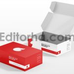 Box Die Cut Mockup2