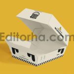 Burger Box Mockup4