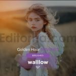 دانلود مجموعه ۱۵تایی براش نور طبیعی و گرم غروب