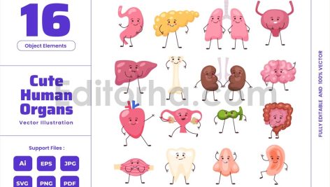 Cute Human Body Organs - Funny Cartoon Character