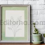 Floral Vector Line Art